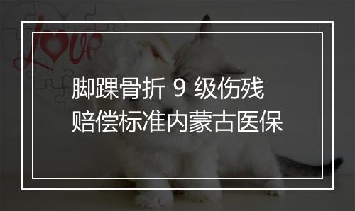 脚踝骨折 9 级伤残赔偿标准内蒙古医保