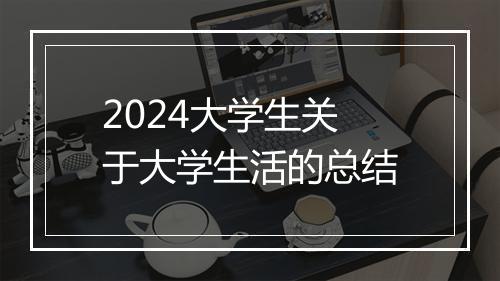 2024大学生关于大学生活的总结