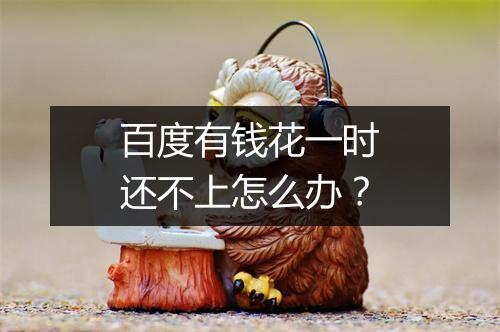 百度有钱花一时还不上怎么办？