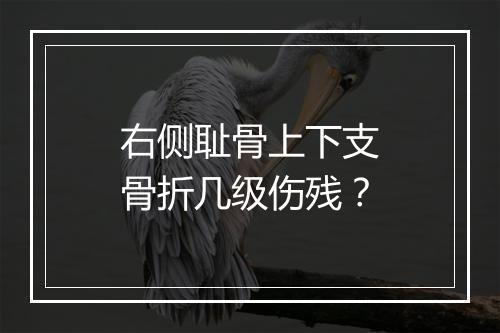 右侧耻骨上下支骨折几级伤残？