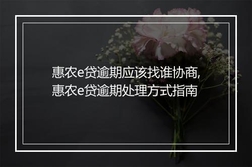 惠农e贷逾期应该找谁协商,惠农e贷逾期处理方式指南