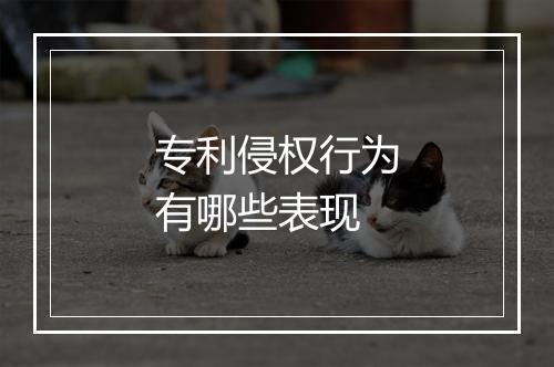 专利侵权行为有哪些表现