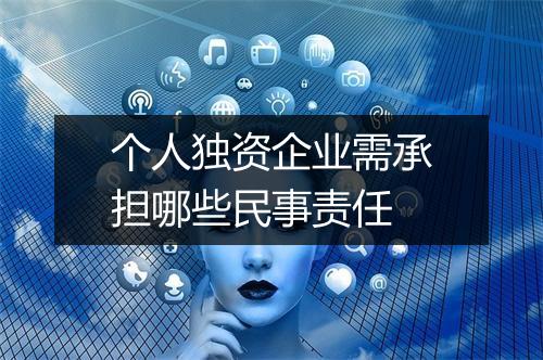 个人独资企业需承担哪些民事责任