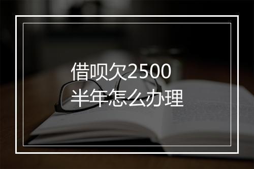 借呗欠2500半年怎么办理