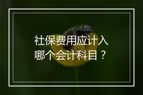 社保费用应计入哪个会计科目？