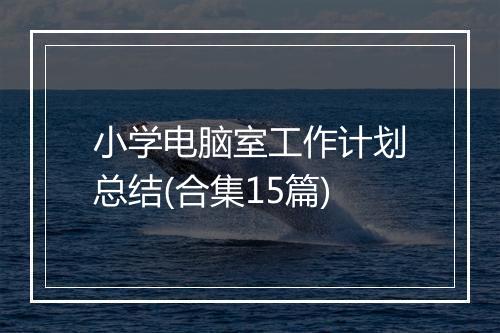 小学电脑室工作计划总结(合集15篇)
