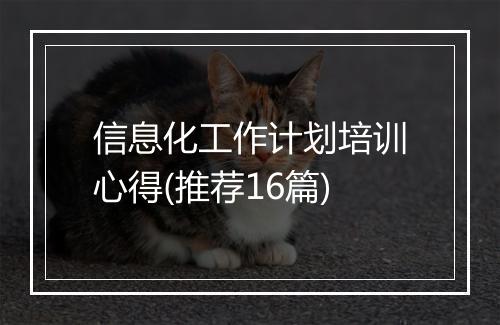 信息化工作计划培训心得(推荐16篇)