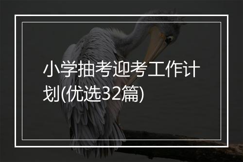 小学抽考迎考工作计划(优选32篇)