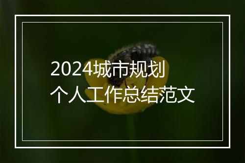 2024城市规划个人工作总结范文