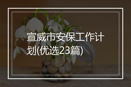 宣威市安保工作计划(优选23篇)