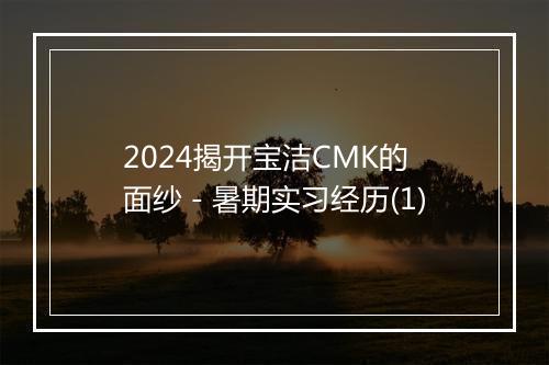 2024揭开宝洁CMK的面纱－暑期实习经历(1)