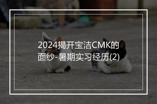 2024揭开宝洁CMK的面纱-暑期实习经历(2)