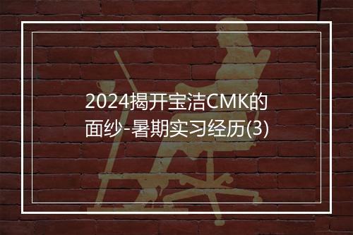 2024揭开宝洁CMK的面纱-暑期实习经历(3)