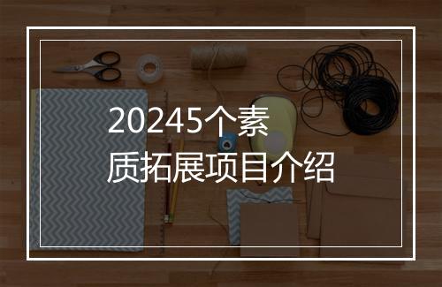 20245个素质拓展项目介绍