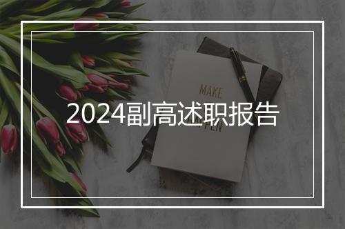 2024副高述职报告