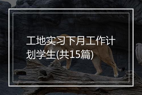 工地实习下月工作计划学生(共15篇)