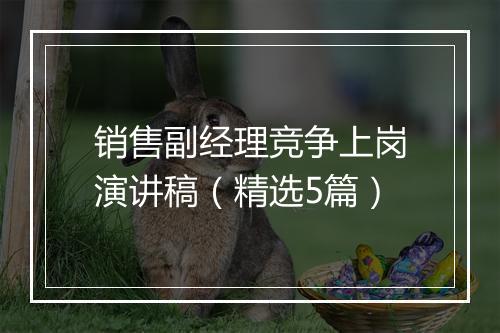 销售副经理竞争上岗演讲稿（精选5篇）