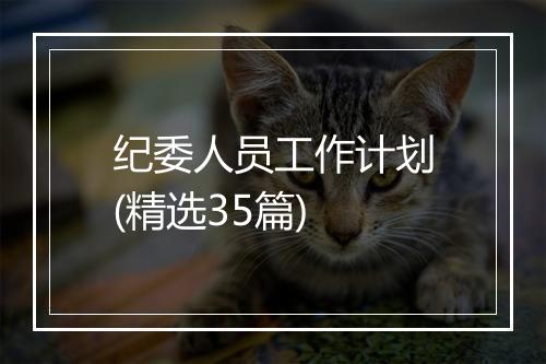 纪委人员工作计划(精选35篇)