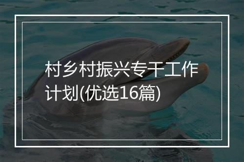 村乡村振兴专干工作计划(优选16篇)