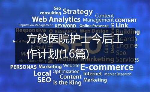 方舱医院护士今后工作计划(16篇)