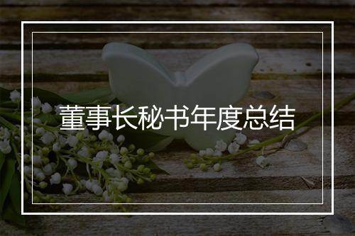 董事长秘书年度总结