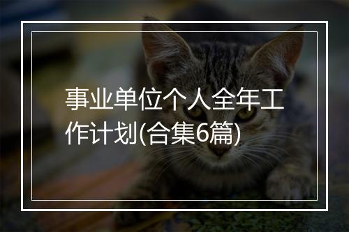 事业单位个人全年工作计划(合集6篇)