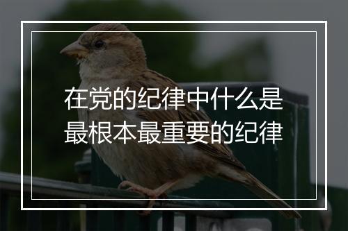在党的纪律中什么是最根本最重要的纪律