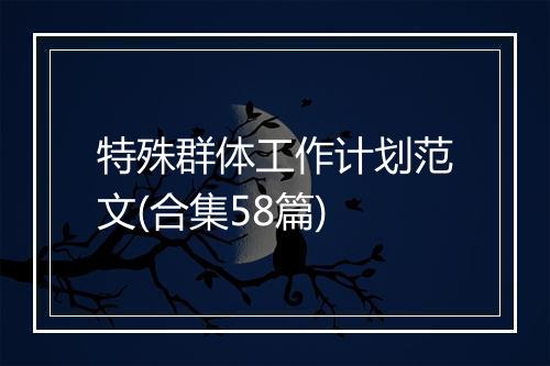 特殊群体工作计划范文(合集58篇)
