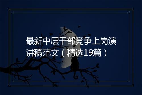 最新中层干部竞争上岗演讲稿范文（精选19篇）