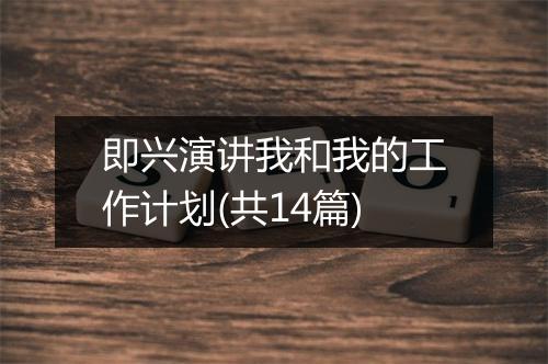 即兴演讲我和我的工作计划(共14篇)