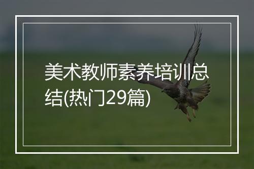 美术教师素养培训总结(热门29篇)
