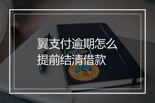 翼支付逾期怎么提前结清借款