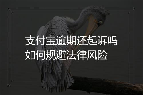支付宝逾期还起诉吗如何规避法律风险