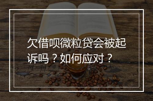 欠借呗微粒贷会被起诉吗？如何应对？