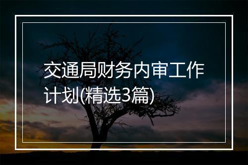 交通局财务内审工作计划(精选3篇)