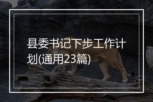 县委书记下步工作计划(通用23篇)