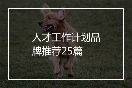人才工作计划品牌推荐25篇