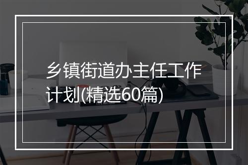 乡镇街道办主任工作计划(精选60篇)
