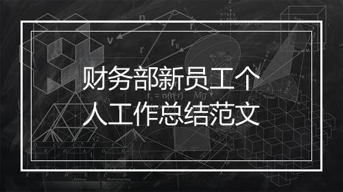 财务部新员工个人工作总结范文
