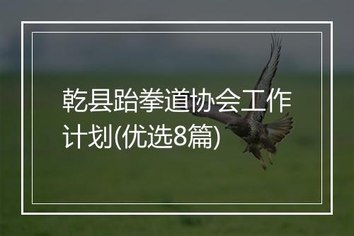乾县跆拳道协会工作计划(优选8篇)