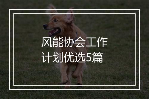 风能协会工作计划优选5篇