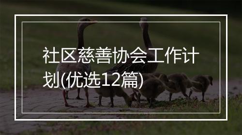 社区慈善协会工作计划(优选12篇)