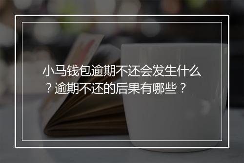 小马钱包逾期不还会发生什么？逾期不还的后果有哪些？