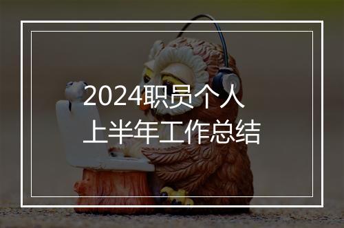 2024职员个人上半年工作总结