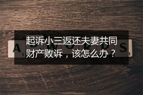 起诉小三返还夫妻共同财产败诉，该怎么办？
