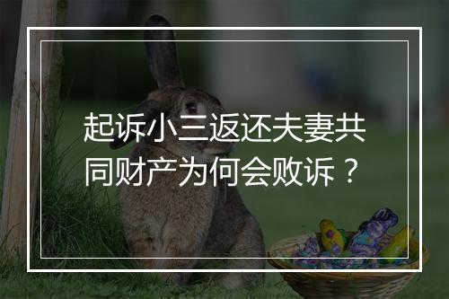 起诉小三返还夫妻共同财产为何会败诉？