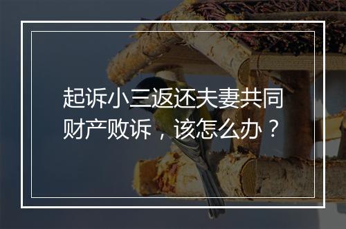起诉小三返还夫妻共同财产败诉，该怎么办？