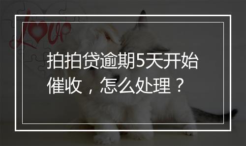 拍拍贷逾期5天开始催收，怎么处理？