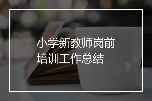 小学新教师岗前培训工作总结
