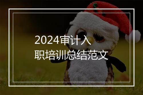 2024审计入职培训总结范文